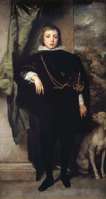 Prince Rupert of the Palatinate, Anthony Van Dyck